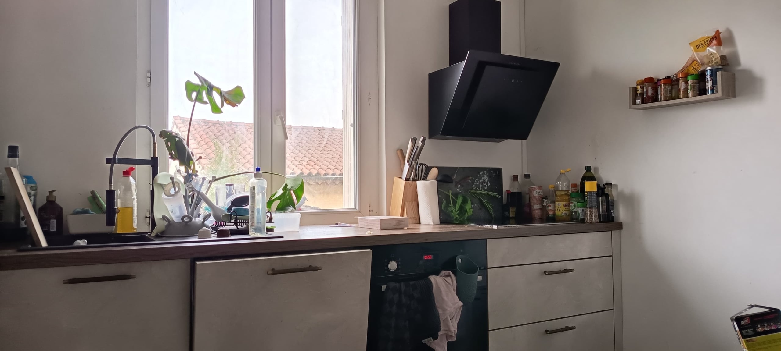 Modern kitchen with sink and window, cluttered countertop, plants by the sill, and a black range hood over the stove.
